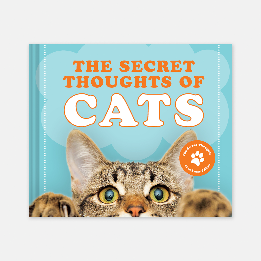 F21_SecretThoughtsofCats_CVR_Render.png