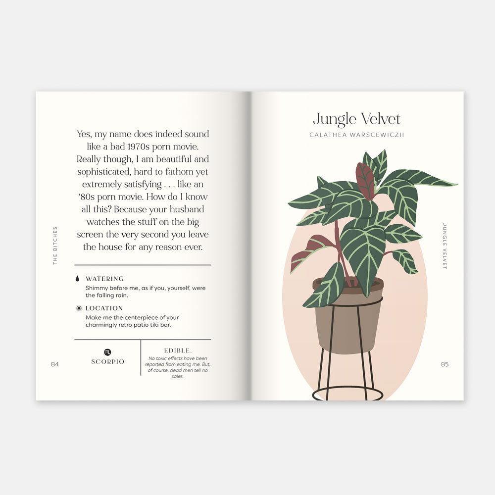 Houseplants and Their F*cked-Up Thoughts
